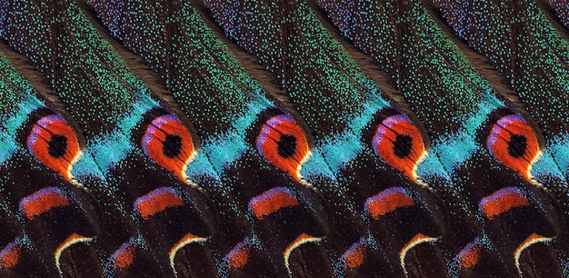 Close-up of a laptop screen displaying the Peacock Premium interface. The screen showcases a variety of content categories, including original series, movies, sports, and news. The cursor hovers over the 