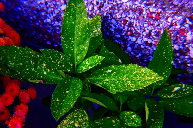 A close-up of a 4K TV screen displaying a nature documentary, highlighting the incredible detail and vibrant colors achievable with Ultra HD resolution.