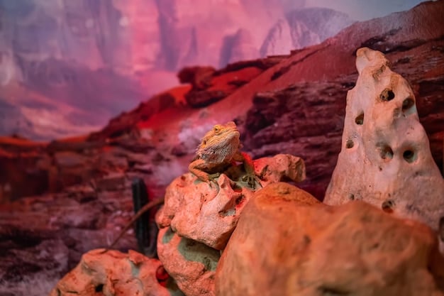 A vibrant panoramic shot from a scene in a visually striking sci-fi film, showing a colorful alien landscape with unique plant life and strange rock formations.