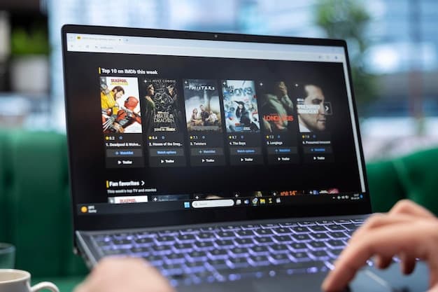 A screenshot of a popular streaming service's user interface, highlighting the 