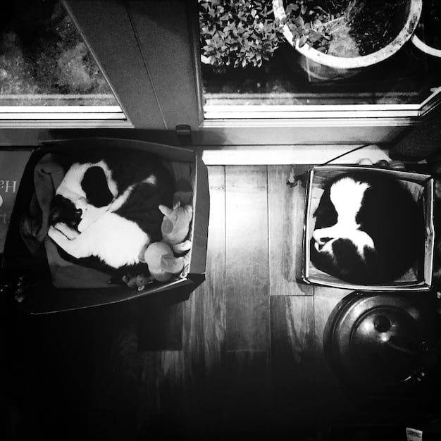 A black and white still from the movie 