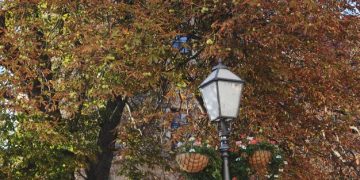 Gilmore Girls: A Cozy Recap of Stars Hollow's Finest Moments - Cover Image