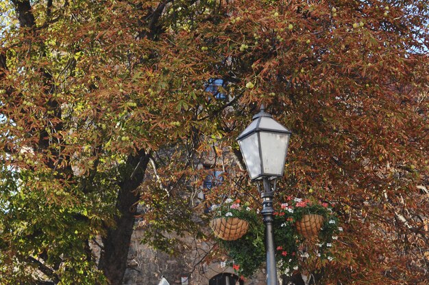 Gilmore Girls: A Cozy Recap of Stars Hollow’s Finest Moments