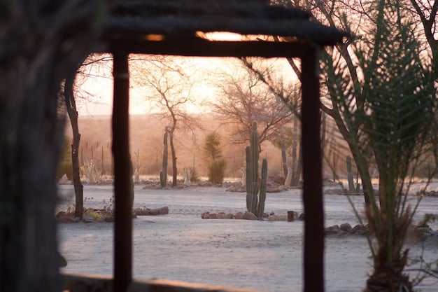 A wide shot of the New Mexico landscape in The Curse finale, emphasizing the isolation and desolation of the setting, mirroring the characters' emotional states.