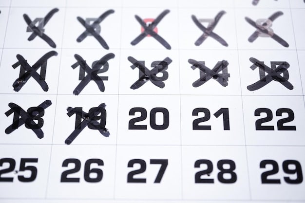 January 2025 Streaming Guide: Netflix, Hulu, Amazon Prime Premieres