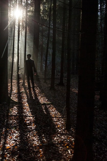 A shadowy figure standing in a dark, wooded area, illuminated only by the faint moonlight filtering through the trees. The figure's face is obscured, creating a sense of mystery and dread.
