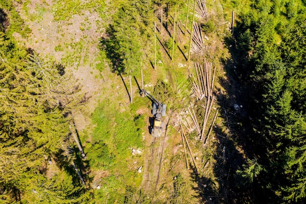 A striking aerial shot of a forest being heavily deforested, with machinery and barren land visible, contrasted against a small patch of healthy, dense forest.