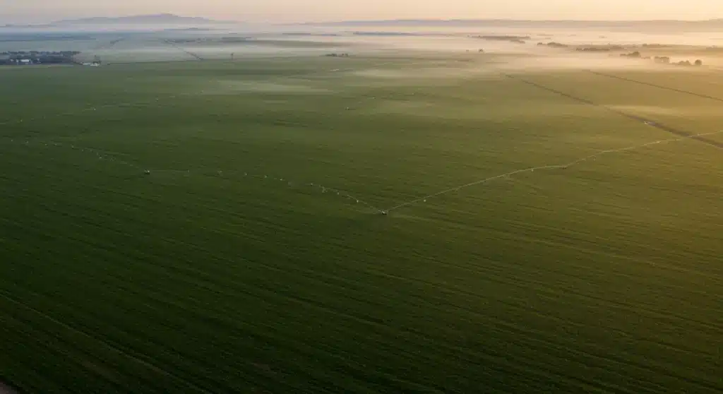 Sustainable Agriculture Tech: 25% Water Use Reduction by 2025
