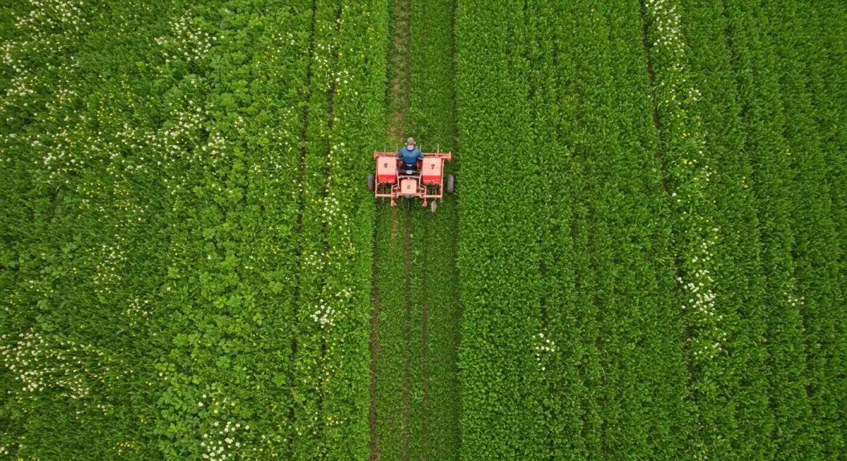 Farmer implementing sustainable no-till planting practices