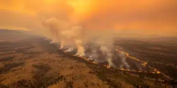 Intense U.S. wildfire burning forest, smoke rising, symbolizing global warming impact.