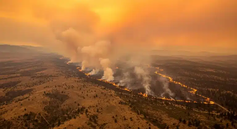 Intense U.S. wildfire burning forest, smoke rising, symbolizing global warming impact.