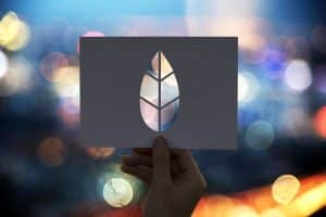 Carbon Capture Policy