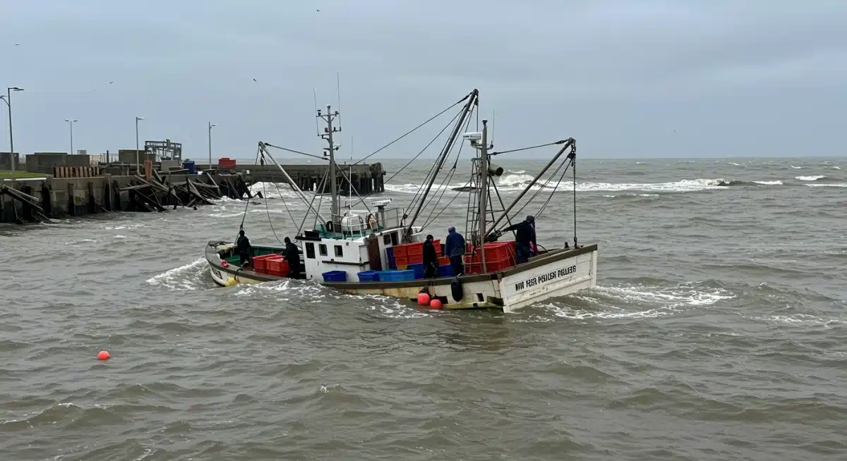 Fishing boat navigating turbulent waters, impact on fisheries