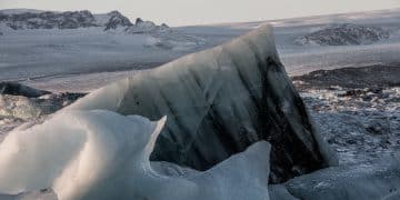 The Arctic Melt