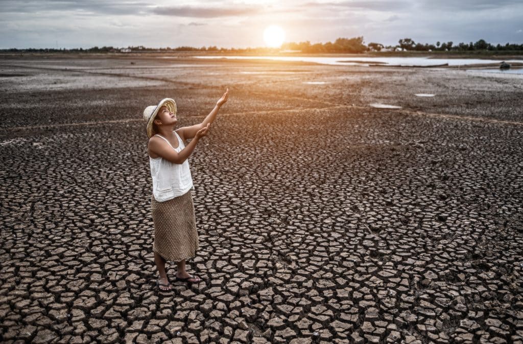 Immediate Solution 1: Aggressive Water Conservation and Efficiency Programs