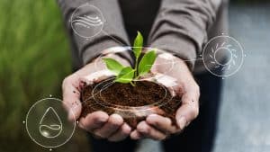 Sustainable Agriculture