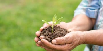 Sustainable Agriculture
